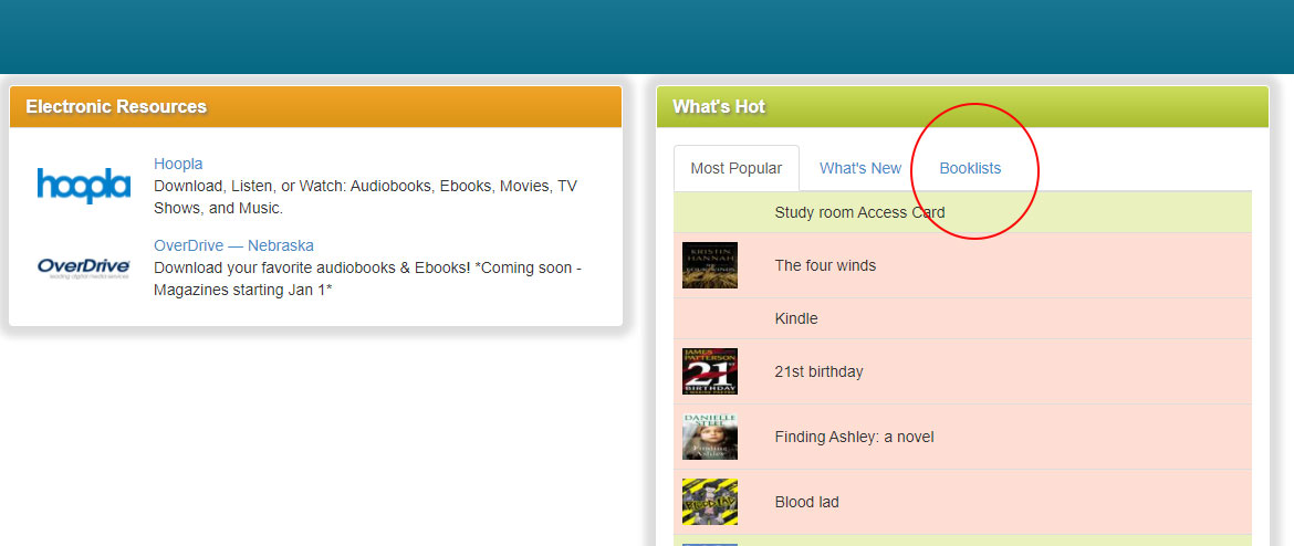 screenshot of library's catalog home page